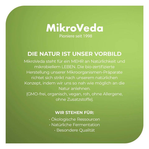 MikroVeda M33+ Kids
