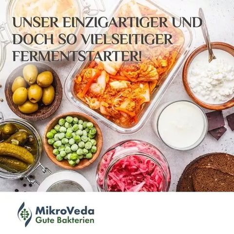 MikroVeda FERMENTSTARTER