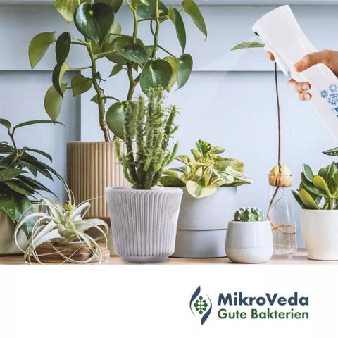 MikroVeda Feinsprühflasche 300 ml